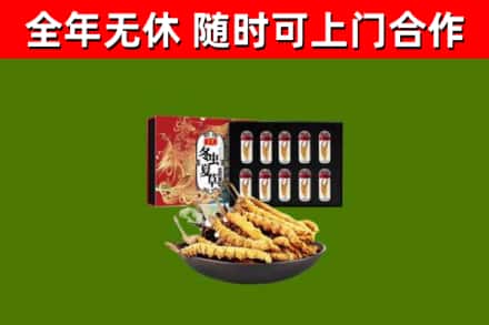 东兴区回收冬虫夏草价格